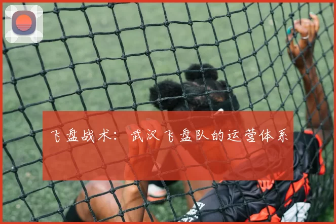 飞盘战术：武汉飞盘队的运营体系