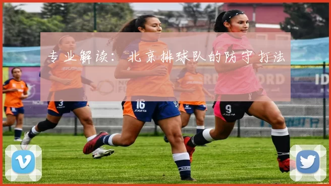 专业解读：北京排球队的防守打法